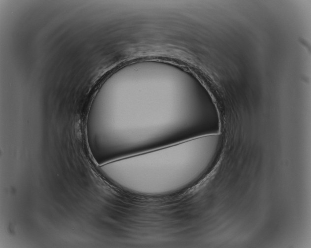 X0000097781497200803070901
