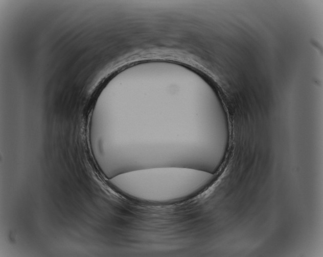 X0000097781498200803070901