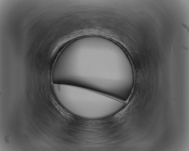 X0000097781499200803070901