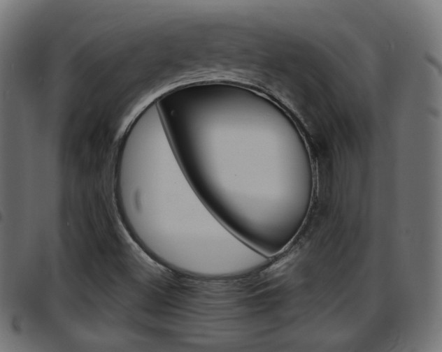 X0000097781500200803070901
