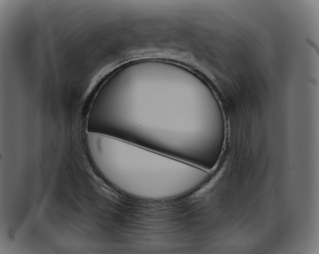 X0000097781501200803070901