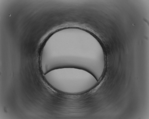 X0000097781502200803070901