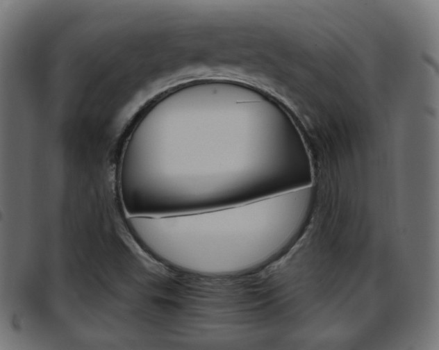 X0000097781503200803070901