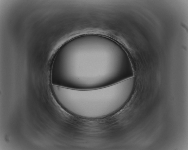 X0000097781504200803070901