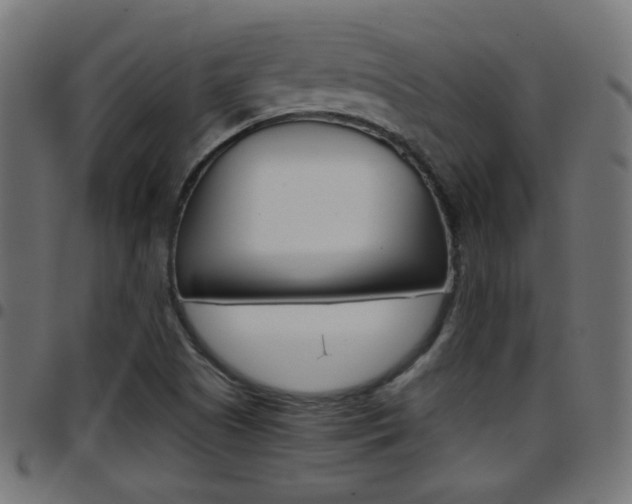 X0000097781505200803070901