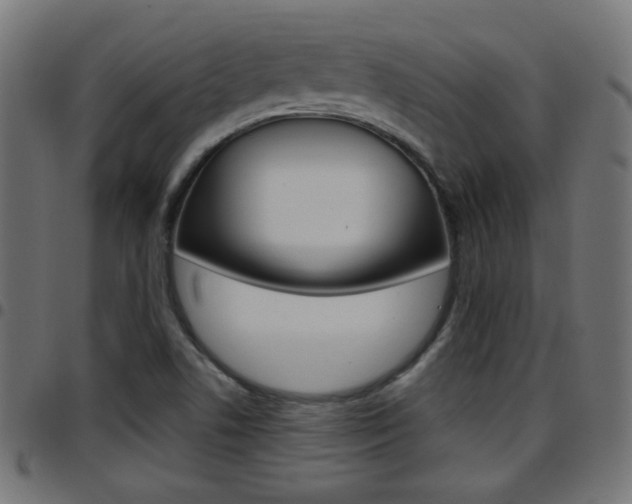 X0000097781506200803070901