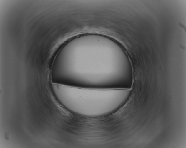 X0000097781507200803070901