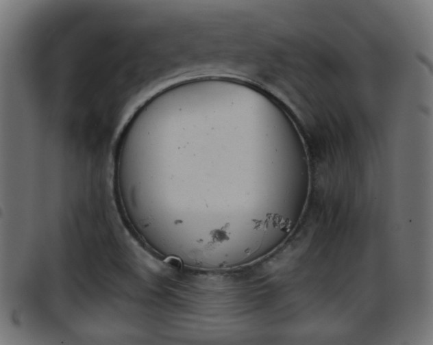 X0000097781508200803070901