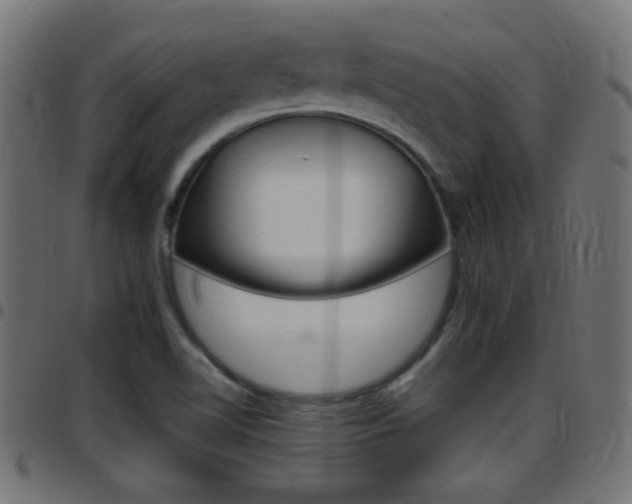 X0000097781510200803070901