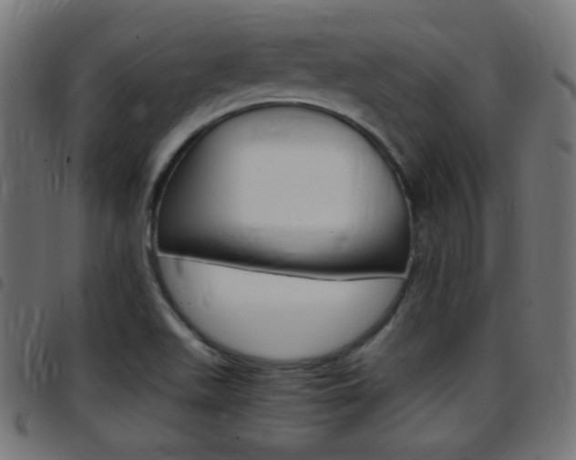 X0000097781511200803070901
