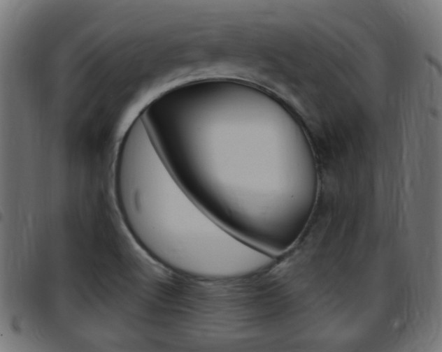 X0000097781512200803070901