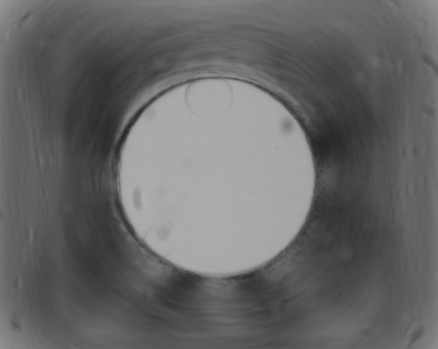 X0000097781514200803070901