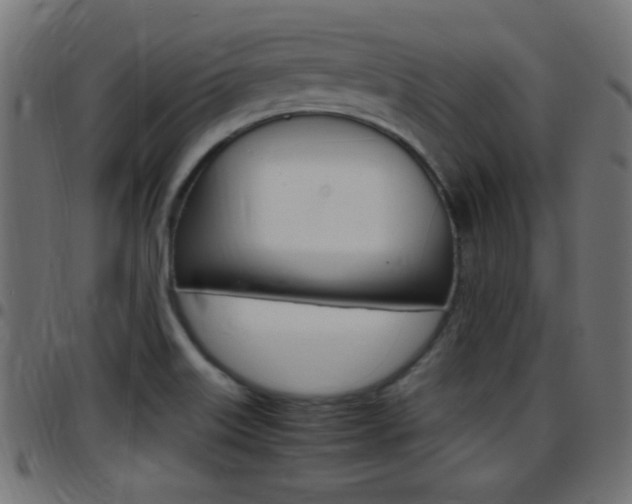 X0000097781515200803070901