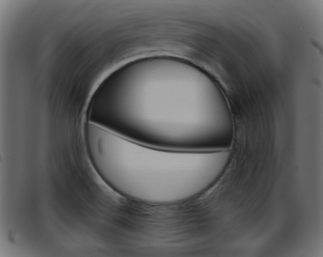 X0000097781516200803070902
