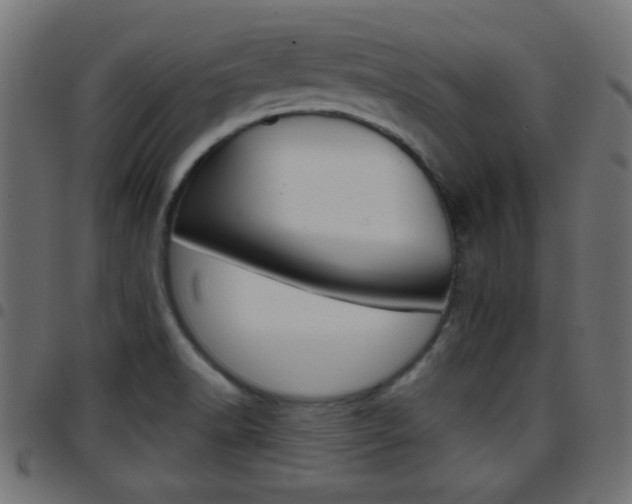 X0000097781518200803070902