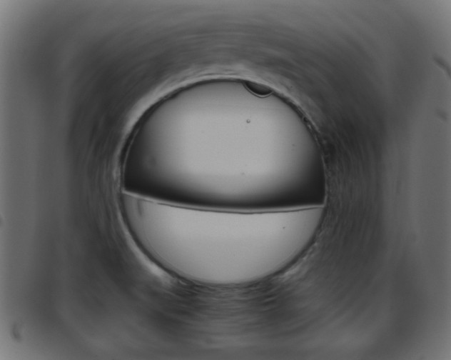 X0000097781519200803070902