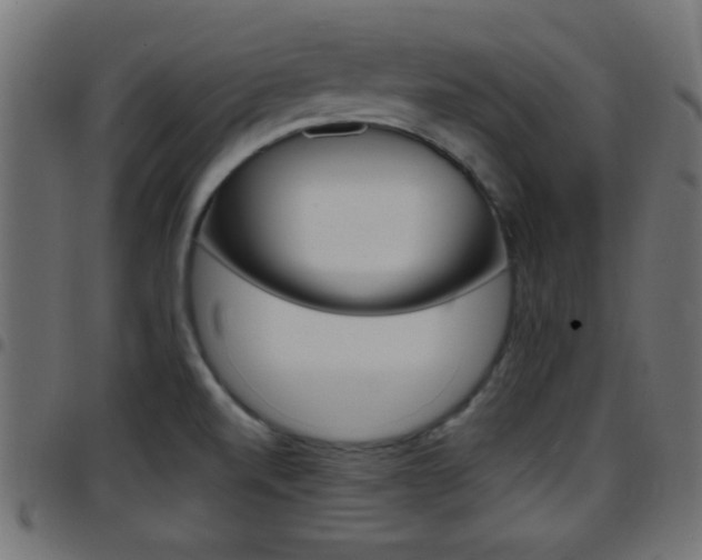 X0000097781520200803070902