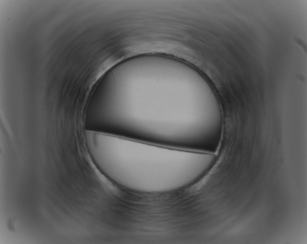 X0000097781521200803070902