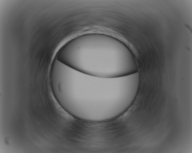X0000097781522200803070902