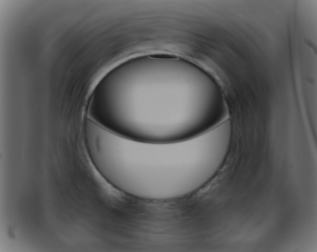 X0000097781524200803070902