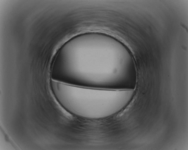 X0000097781525200803070902