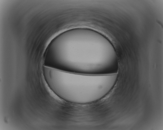 X0000097781526200803070902