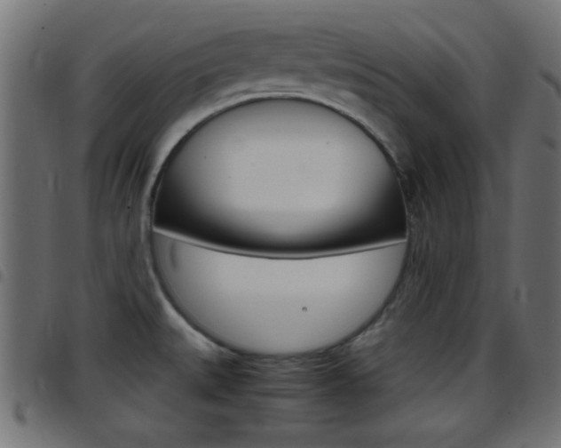X0000097781527200803070902