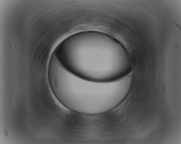 X0000097781528200803070902