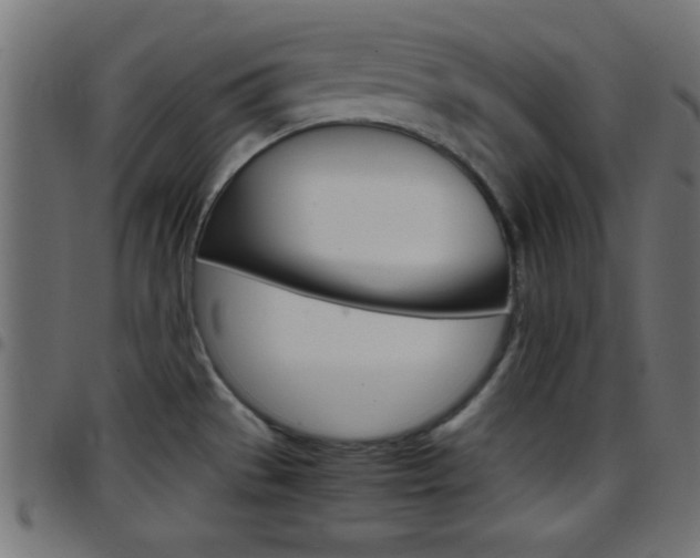 X0000097781529200803070902