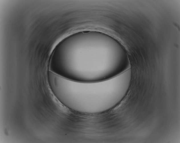 X0000097781530200803070902