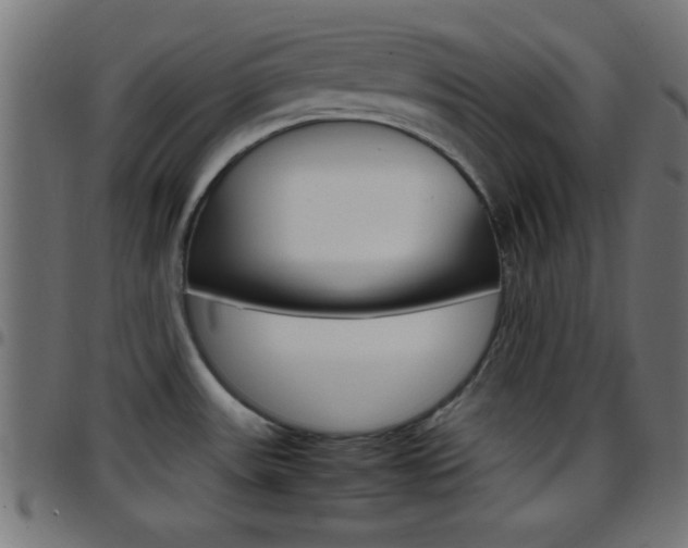 X0000097781531200803070902