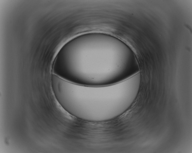 X0000097781532200803070902