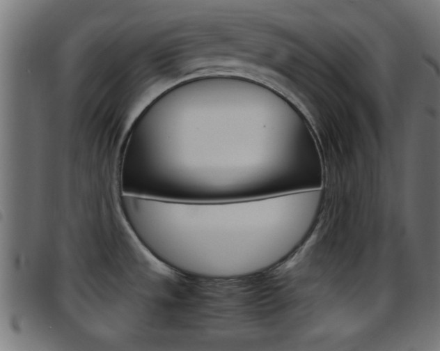 X0000097781533200803070902