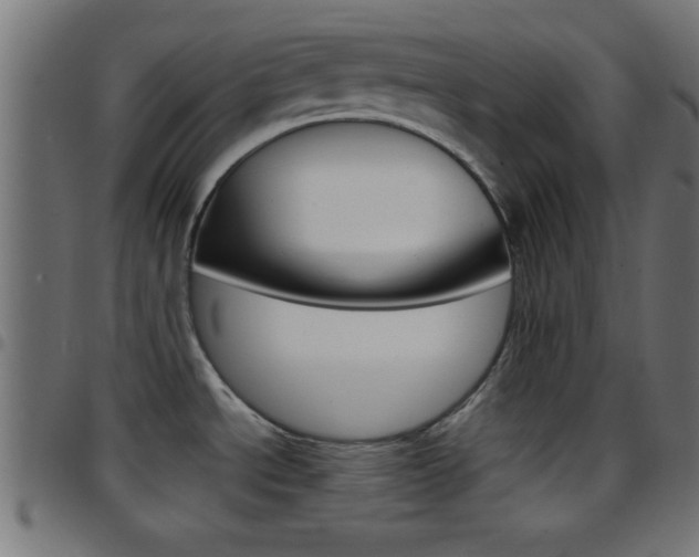 X0000097781534200803070902