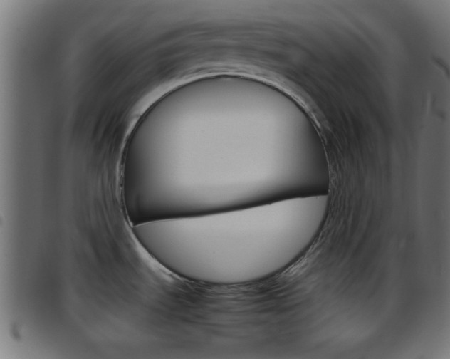 X0000097781535200803070902