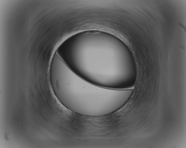 X0000097781536200803070902