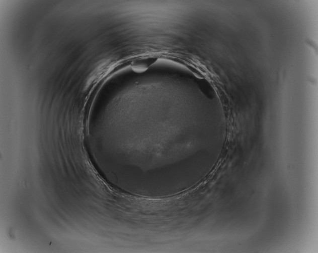 X0000097780002200803071400