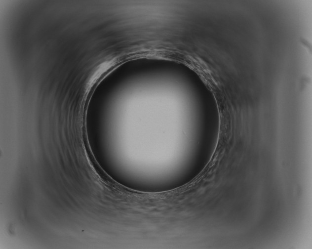X0000097780003200803071400
