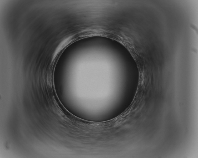 X0000097780004200803071400