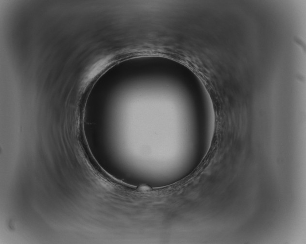 X0000097780005200803071400