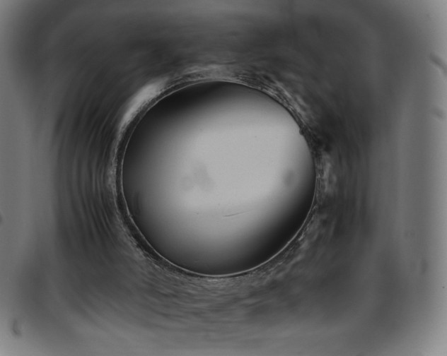 X0000097780006200803071400