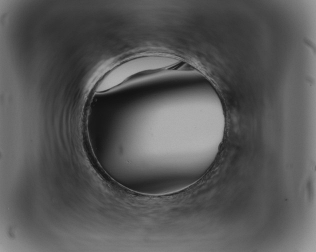 X0000097780007200803071400