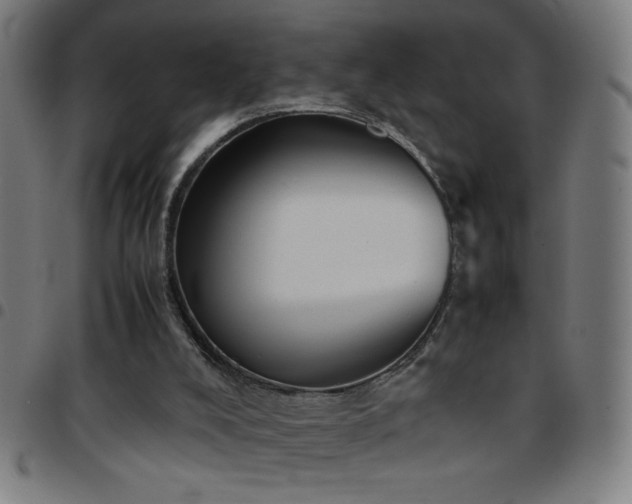 X0000097780008200803071400