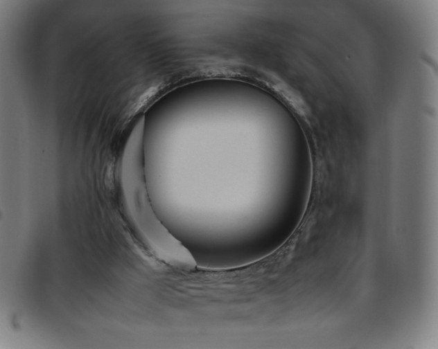 X0000097780009200803071400