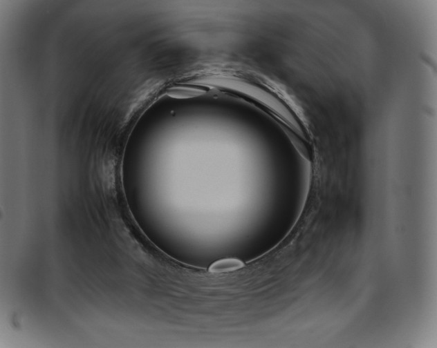 X0000097780010200803071400