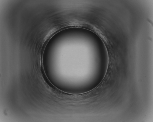 X0000097780011200803071400