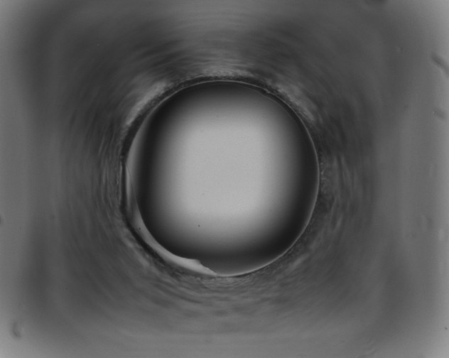 X0000097780015200803071400
