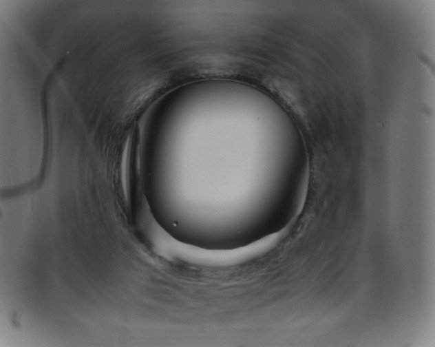 X0000097780017200803071400