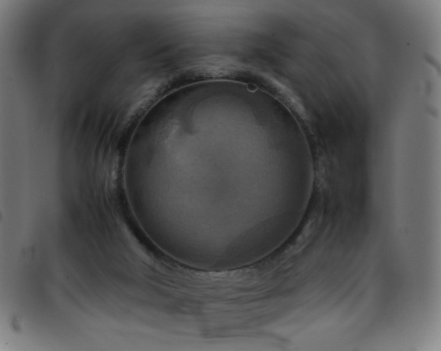 X0000097780018200803071400