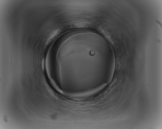 X0000097780019200803071400